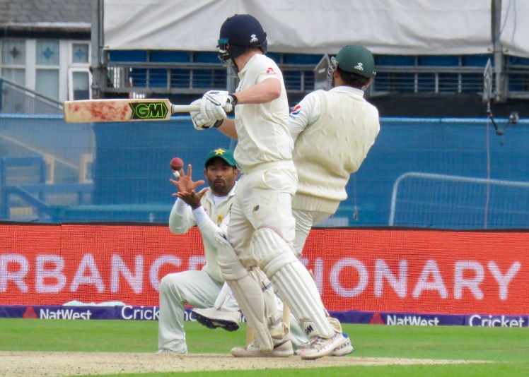 fullsizeoutput_652b0