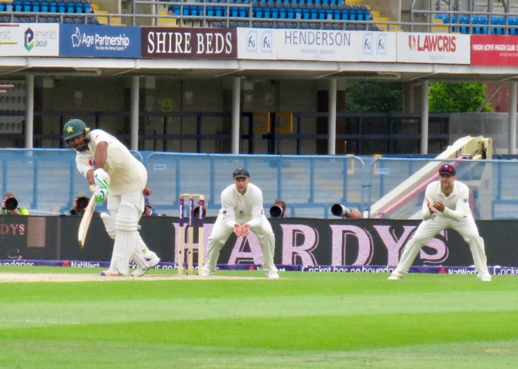 fullsizeoutput_6558f