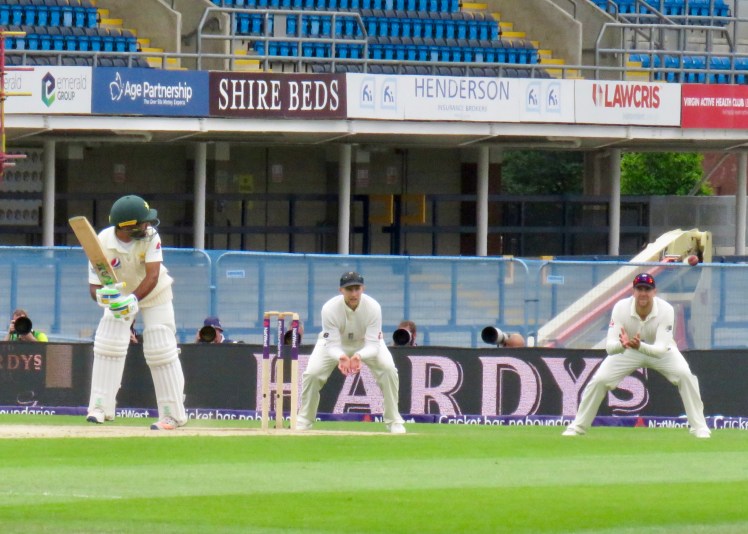 fullsizeoutput_65594