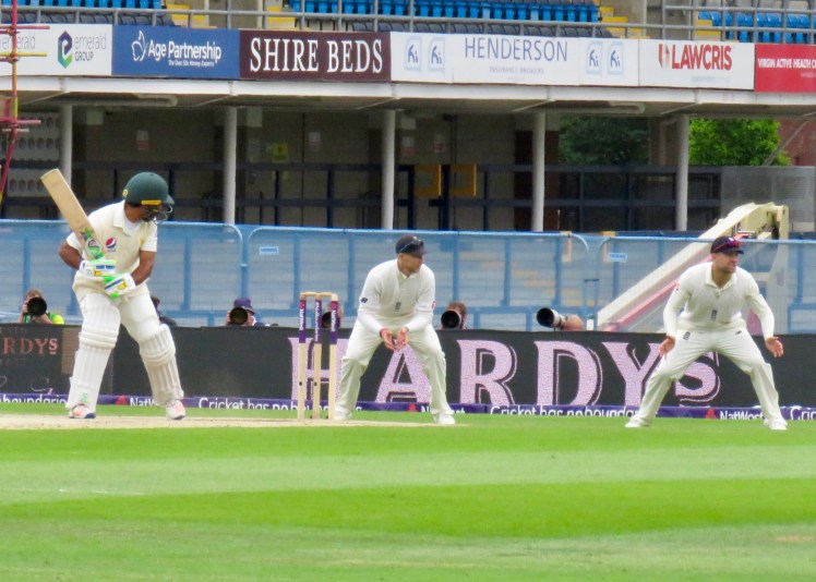 fullsizeoutput_65598