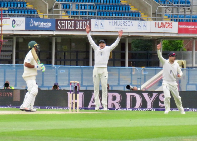 fullsizeoutput_655a2