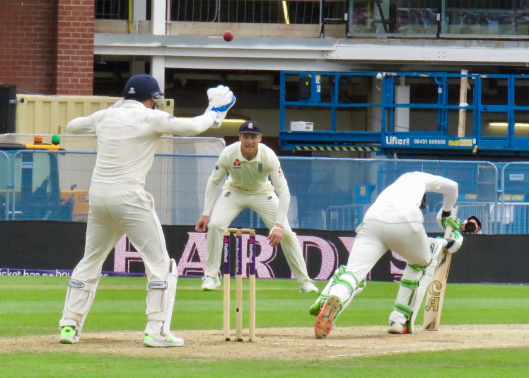 fullsizeoutput_655ae