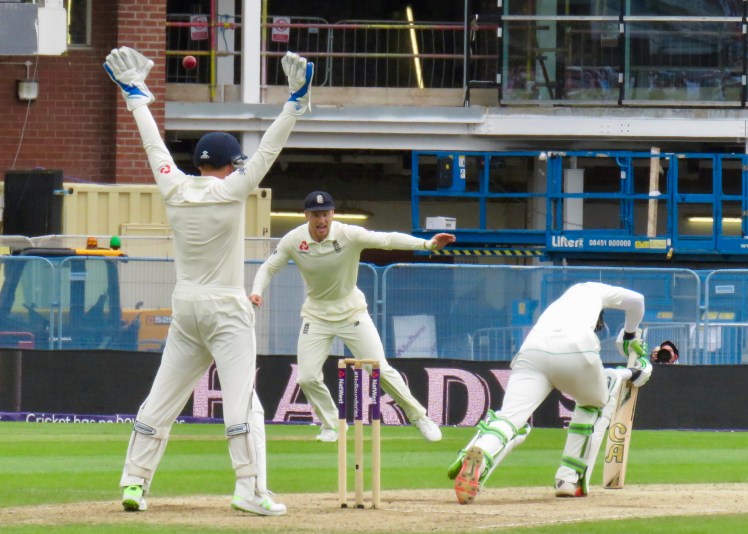 fullsizeoutput_655b1