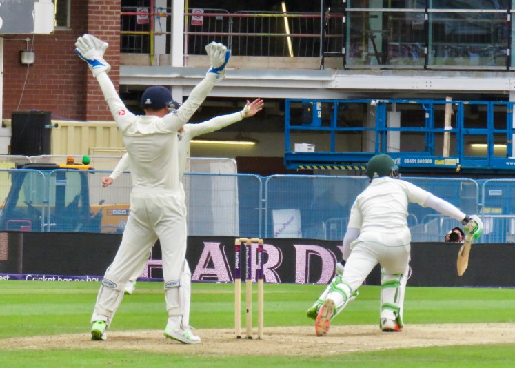 fullsizeoutput_655b5