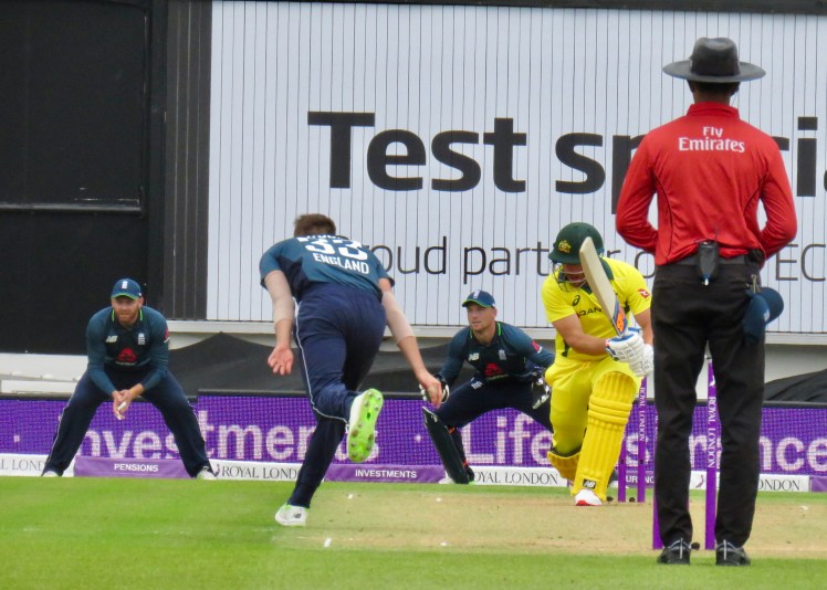 fullsizeoutput_66418