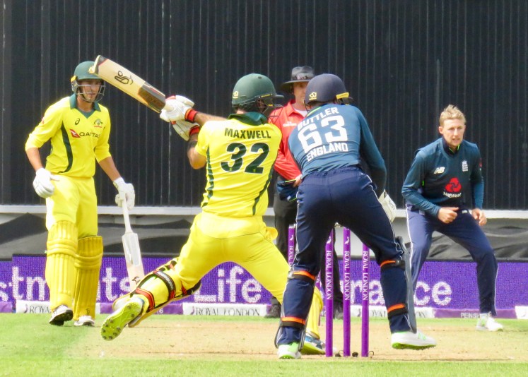 fullsizeoutput_66541