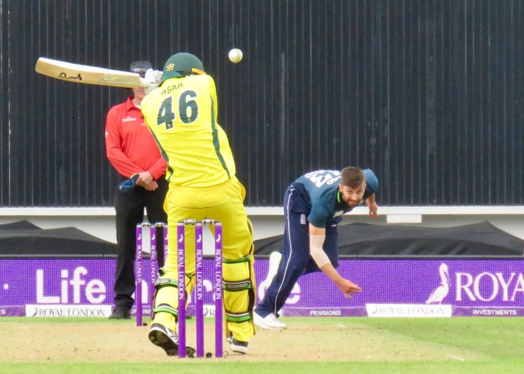 fullsizeoutput_66552