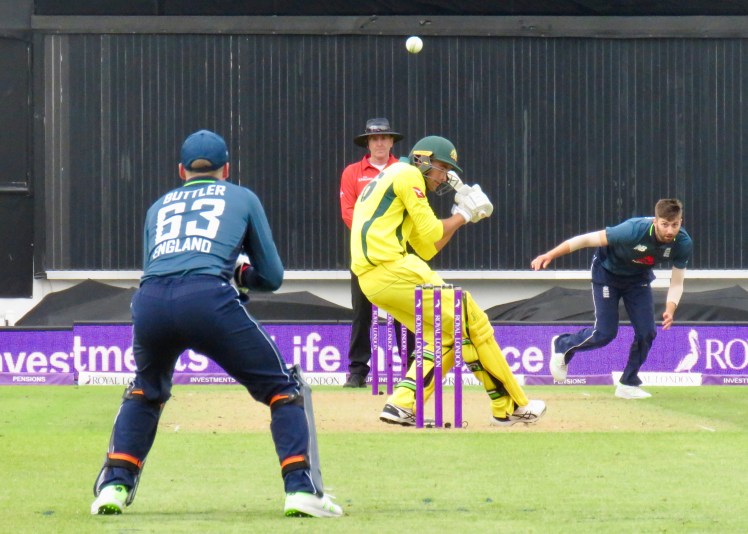 fullsizeoutput_66554