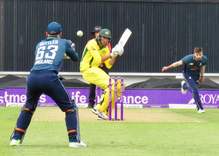 fullsizeoutput_66556