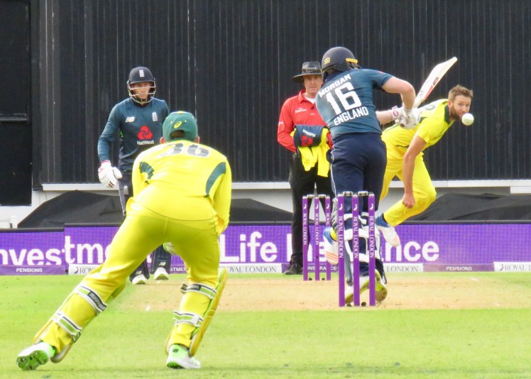 fullsizeoutput_665d2