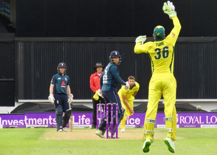 fullsizeoutput_665fd