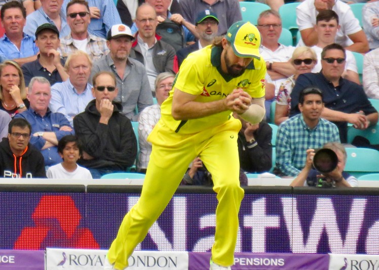 fullsizeoutput_66607