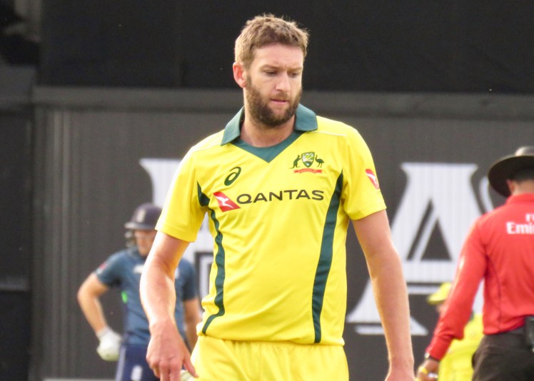 fullsizeoutput_66611