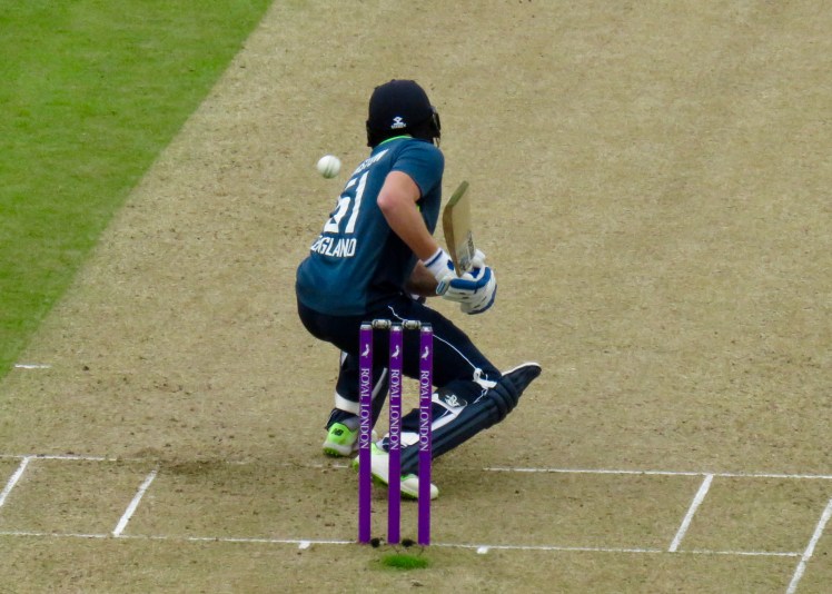 fullsizeoutput_66909