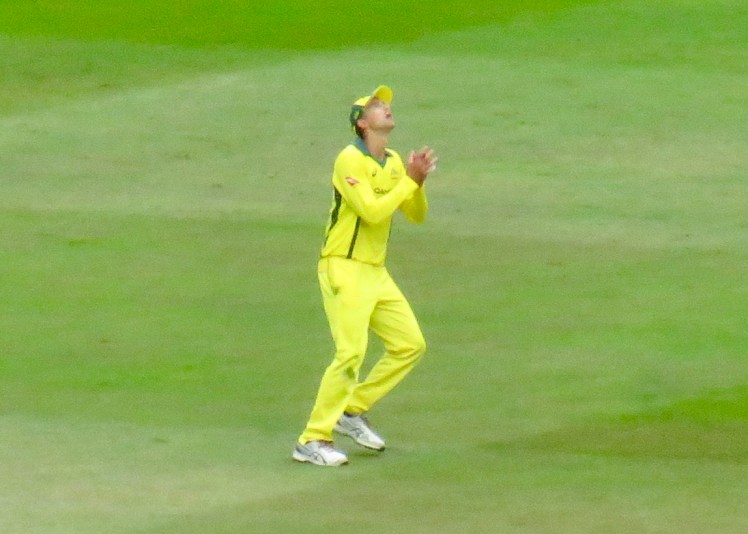 fullsizeoutput_66a99