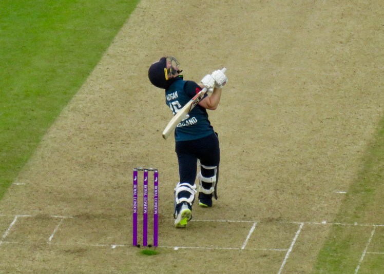 fullsizeoutput_66ac1