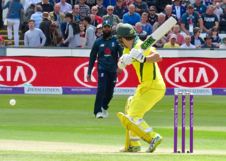 fullsizeoutput_6719e