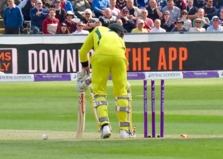 fullsizeoutput_6724d