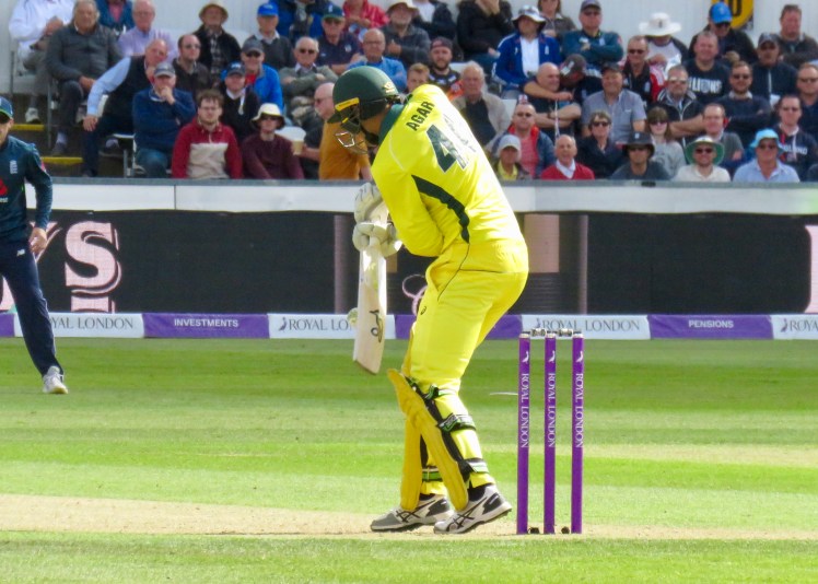 fullsizeoutput_67259