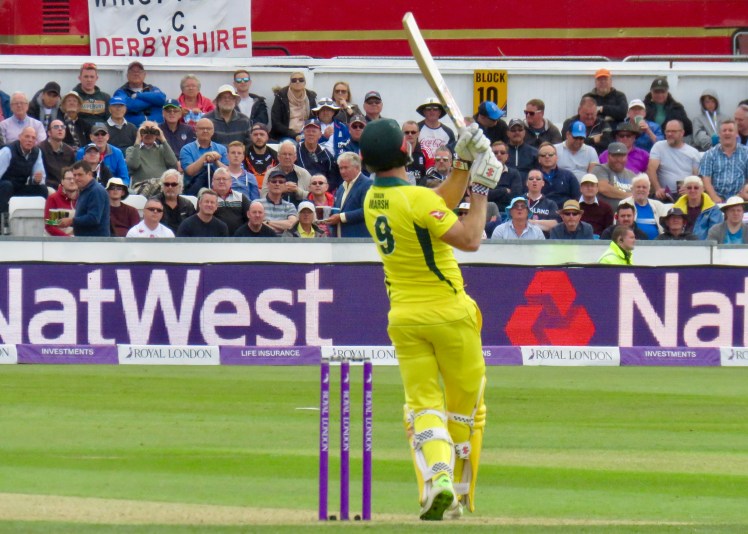 fullsizeoutput_672d0