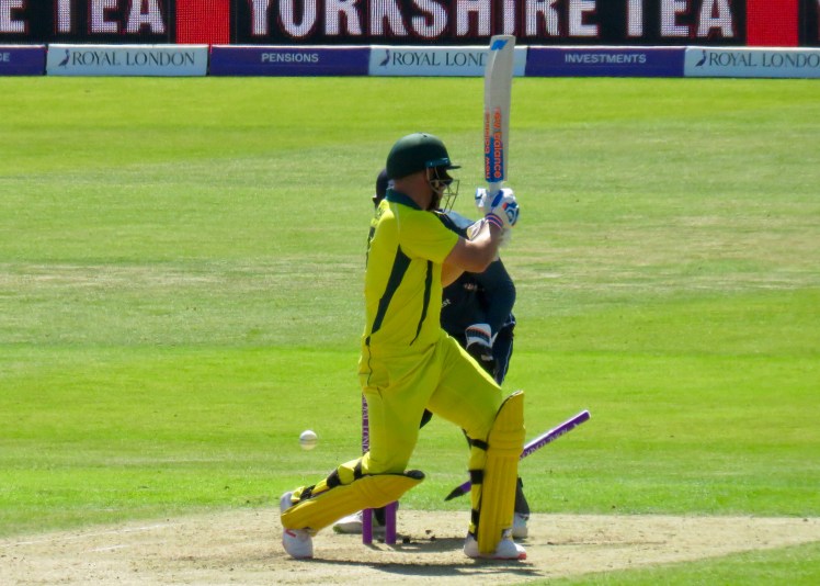 fullsizeoutput_6788f