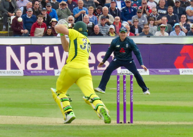 fullsizeoutput_678a8