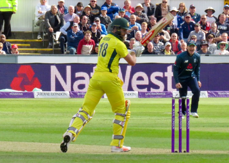 fullsizeoutput_678b6