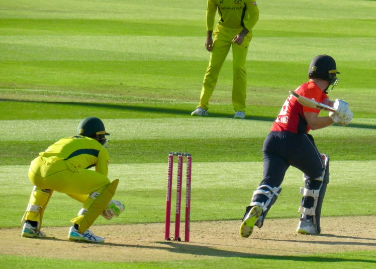 fullsizeoutput_67bc8