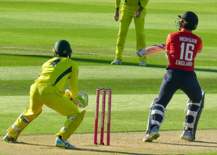 fullsizeoutput_67bcc