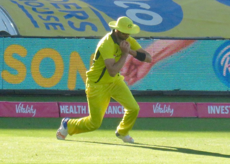 fullsizeoutput_67bce