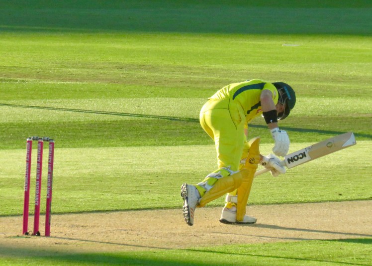 fullsizeoutput_67ca0