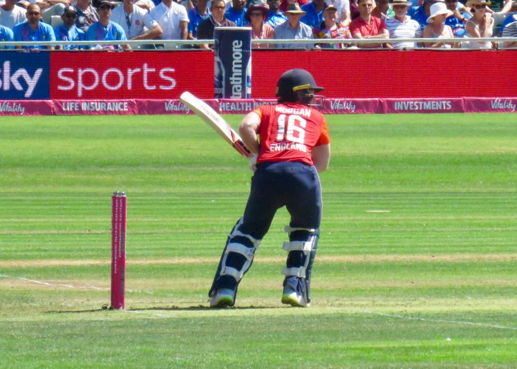 fullsizeoutput_68436