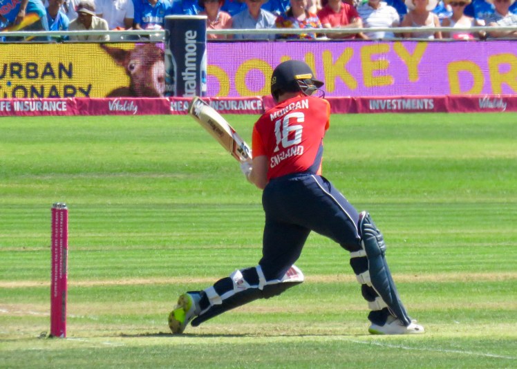 fullsizeoutput_68443